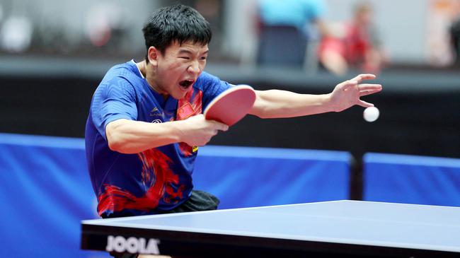 凭借末节的 凭借末节的